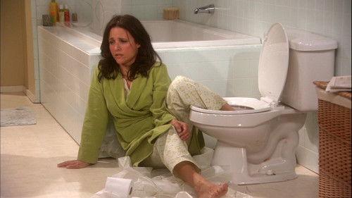 The New Adventures of Old Christine Season 4 Episode 15 - Reckless Abandonment