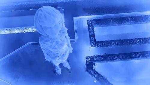 Miraculous: Tales of Ladybug & Cat Noir Season 5 Episode 12 - Perfection