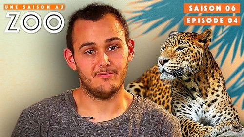 Une saison au zoo Season 6 Episode 4 - Episode 4