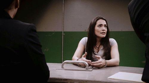 The Fugitive Season 1 Episode 6 - A Lifeline