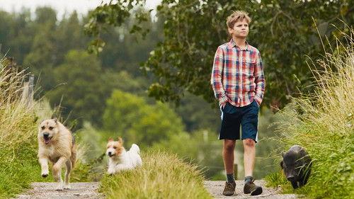 Remi, Nobody's Boy Season 1 Episode 4 - Episode 4