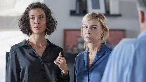 4 estrellas Season 2 Episode 16 - Episode 16