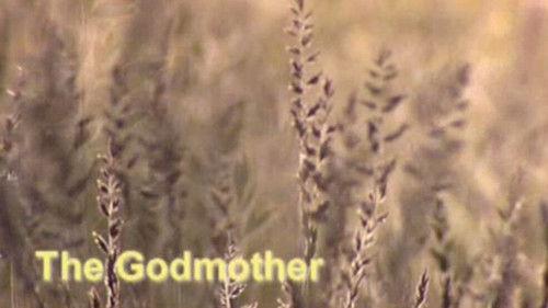 Meerkat Manor Season 2 Episode 12 - The Godmother