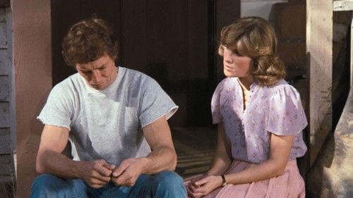 The Waltons Season 9 Episode 10 - The Tempest