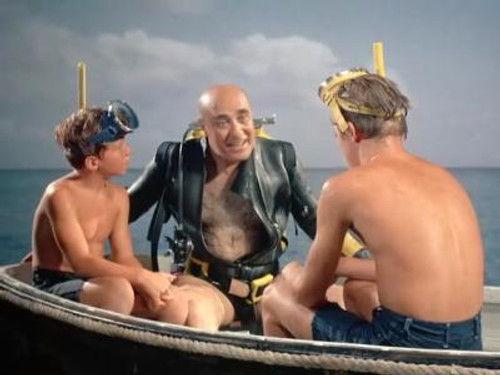 Flipper Season 1 Episode 10 - My Brother Flipper