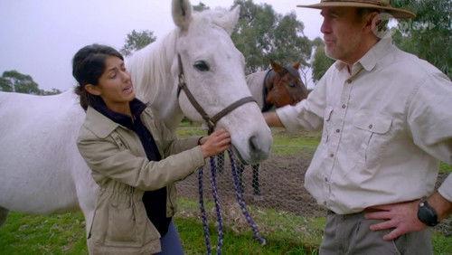 Russell Coight's All Aussie Adventures Season 3 Episode 7 - Episode 7