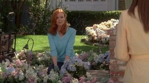 Desperate Housewives Season 7 Episode 21 - Then I Really Got Scared