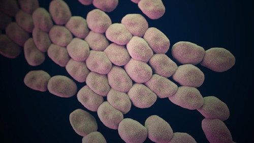 Frontline Season 31 Episode 16 - Hunting the Nightmare Bacteria