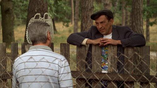 The In-Laws Season 3 Episode 10 - Episode 10