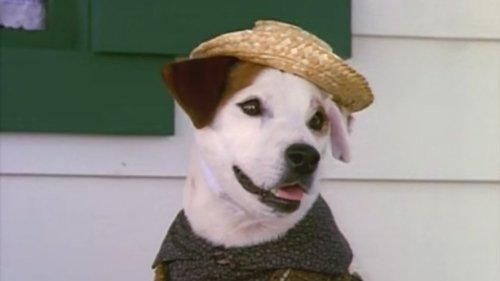 Wishbone Season 1 Episode 2 - A Tail in Twain (2)