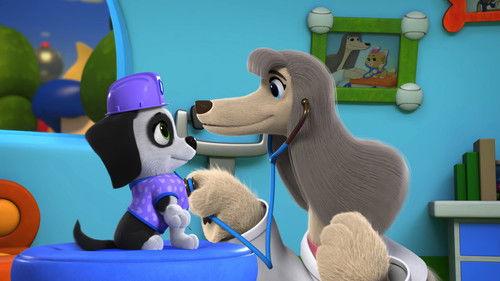 Pupstruction Season 1 Episode 5 - Bailey's Birthday Coaster