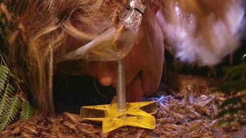 I'm a Celebrity...Get Me Out of Here! Season 19 Episode 19 - Frightseers