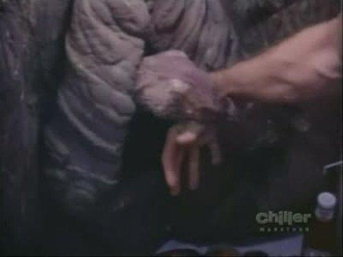 Monsters Season 1 Episode 10 - Pillow Talk