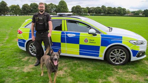 Crimewatch Live Season 17 Episode 11 - Episode 11