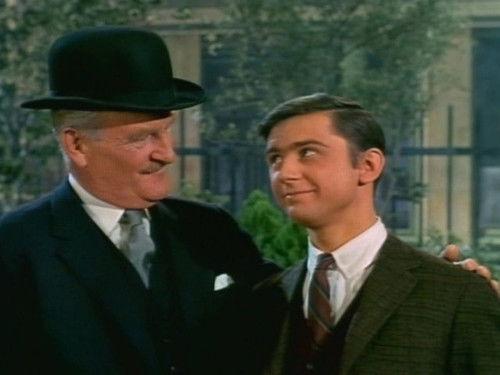 Family Affair Season 1 Episode 26 - All Nephews Are Created Equal