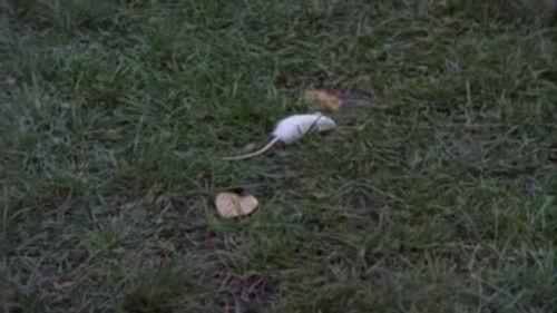 Goosebumps Season 3 Episode 22 - Teacher's Pet