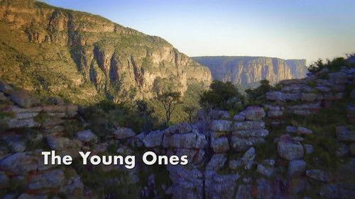 Amazing Animal Friends Season 1 Episode 3 - The Young Ones