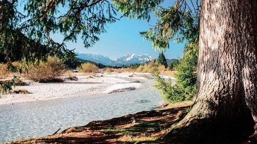 Wild Germany Season 7 Episode 1 - Episode 1