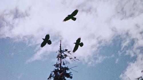 undefined Season 1 Episode 20 - Money Crop