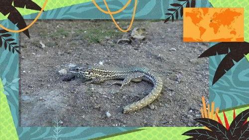 Kukurota Season 3 Episode 8 - Episode 8