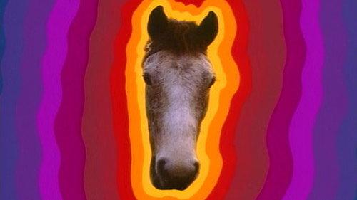 Father Ted Season 2 Episode 5 - A Song for Europe