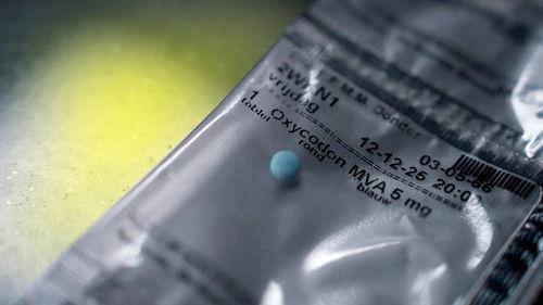 Zembla Season 35 Episode 3 - The Pain epidemic