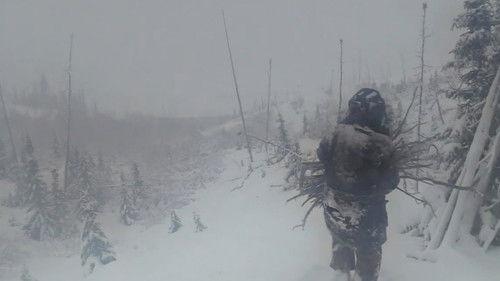 Alone Season 9 Episode 11 - Fight, Flight or Freeze