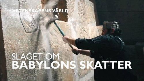 Vetenskapens värld Season 48 Episode 3 - Episode 3