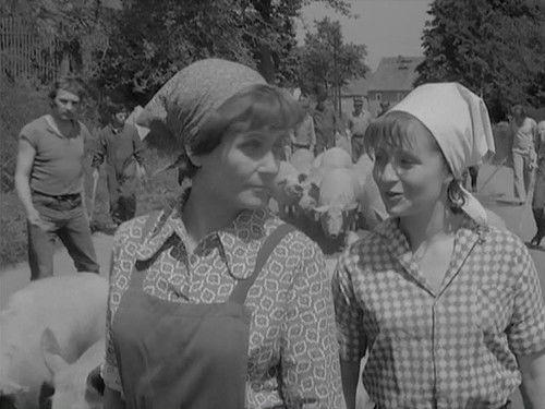 Die Lindstedts Season 1 Episode 5 - Episode 5