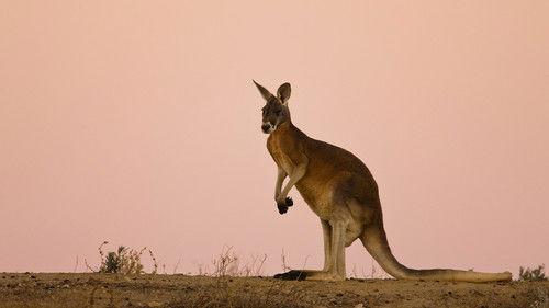 Australia Remastered Season 5 Episode 3 - Inner Kingdoms