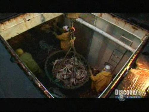 Deadliest Catch Season 3 Episode 6 - The Last Lap