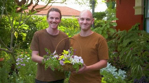 Gardening Australia Season 32 Episode 11 - Episode 11 Pruning Citrus, Historic Garden & Berry Pot