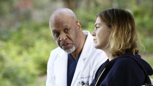 Grey's Anatomy Season 12 Episode 9 - The Sound of Silence