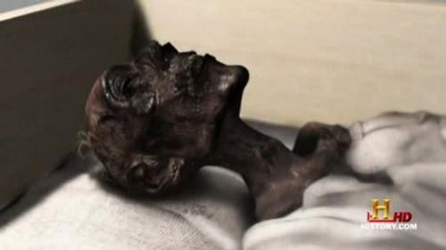 Life After People: The Series Season 1 Episode 1 - The Bodies Left Behind