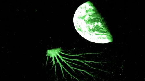 NASA's Unexplained Files Season 1 Episode 7 - Mystery Space Squid