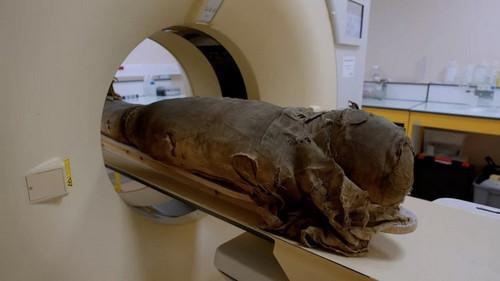 Science grand format Season 10 Episode 3 - Episode 3