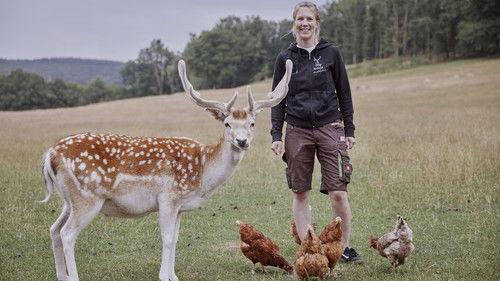 Background image for Episode 4