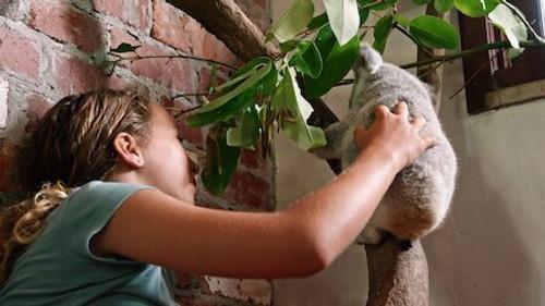 Izzy's Koala World Season 2 Episode 3 - Chompy Learns to Climb