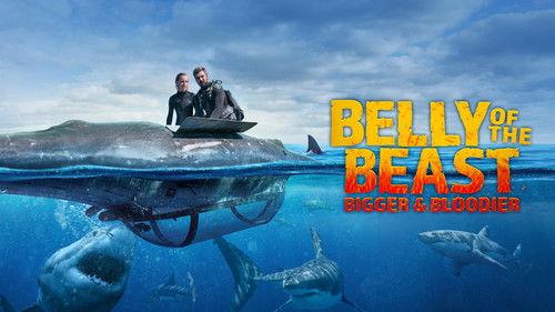 Shark Week Season 37 Episode 1 - Belly of the Beast: Bigger and Bloodier