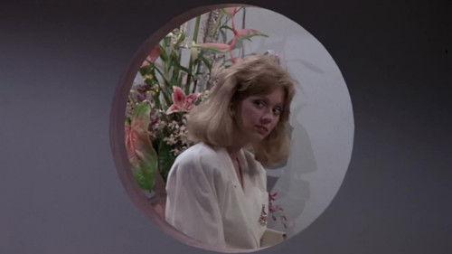 Cheers Season 5 Episode 7 - Young Dr. Weinstein