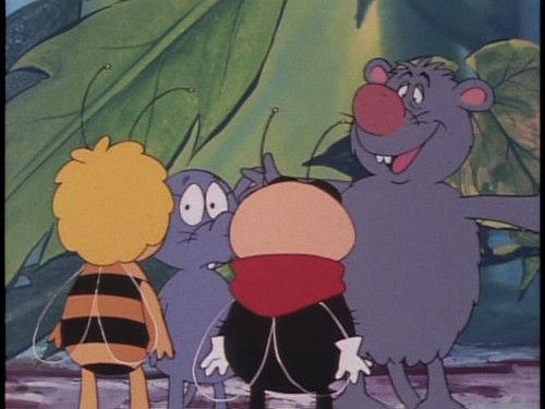 Maya the Bee Season 2 Episode 22 - The Great Flying Contest