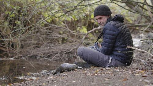 Nature Season 42 Episode 1 - The Platypus Guardian