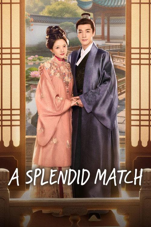 A Splendid Match poster