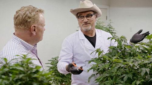 Growing Belushi Season 2 Episode 1 - The Buds are Back in Town