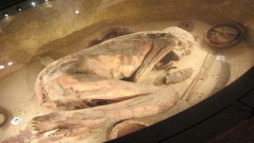 Ulisse - Il piacere della scoperta Season 13 Episode 7 - I tesori del Museo Egizio di Torino (seconda versione)