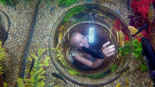Tanked Season 3 Episode 17 - Tricks and Trees