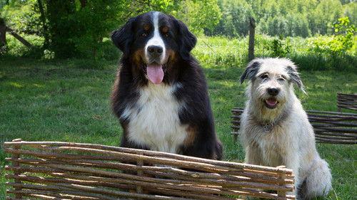 Löwenzahn Season 42 Episode 1 - Episode 1