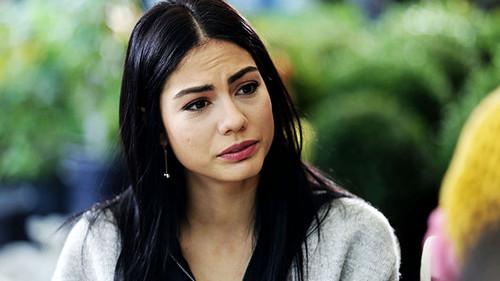 No: 309 Season 1 Episode 19 - Episode 19