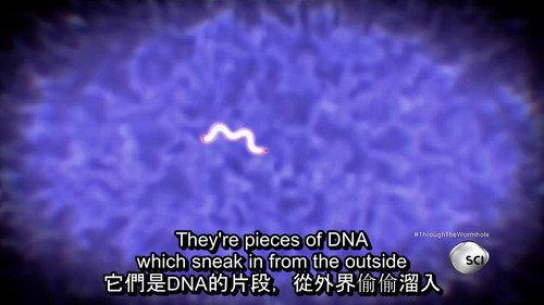 Through the Wormhole Season 6 Episode 5 - Are There Aliens Inside Us?