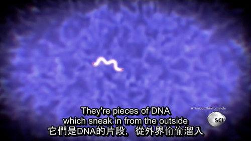 Through the Wormhole Season 6 Episode 5 - Are There Aliens Inside Us?